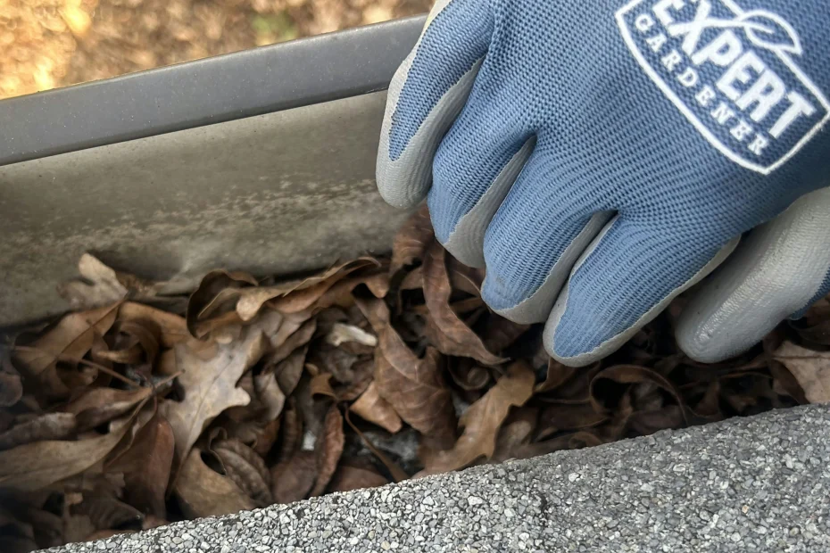 Gutter Cleaning Lehigh Acres FL