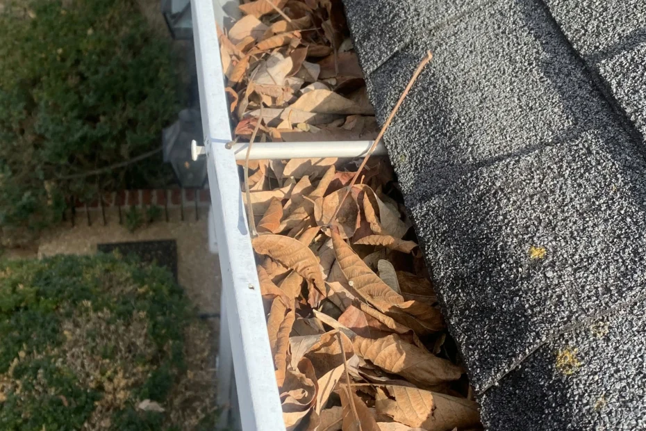 Gutter Cleaning Lehigh Acres FL