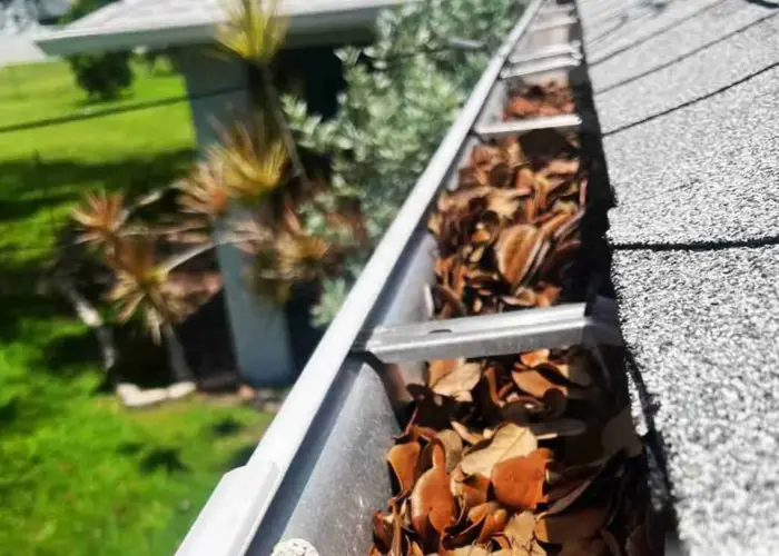 Gutter Cleaning Lehigh Acres FL home page